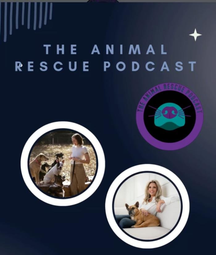 This week I talk with Jackie Ducci about her lifelong connection to animals ...