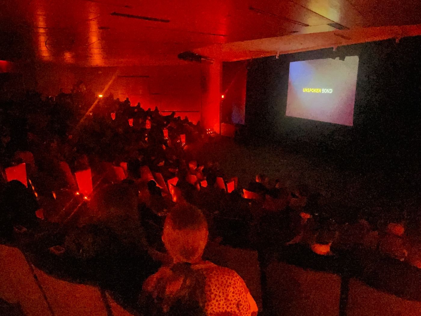 Wilmington screening photo