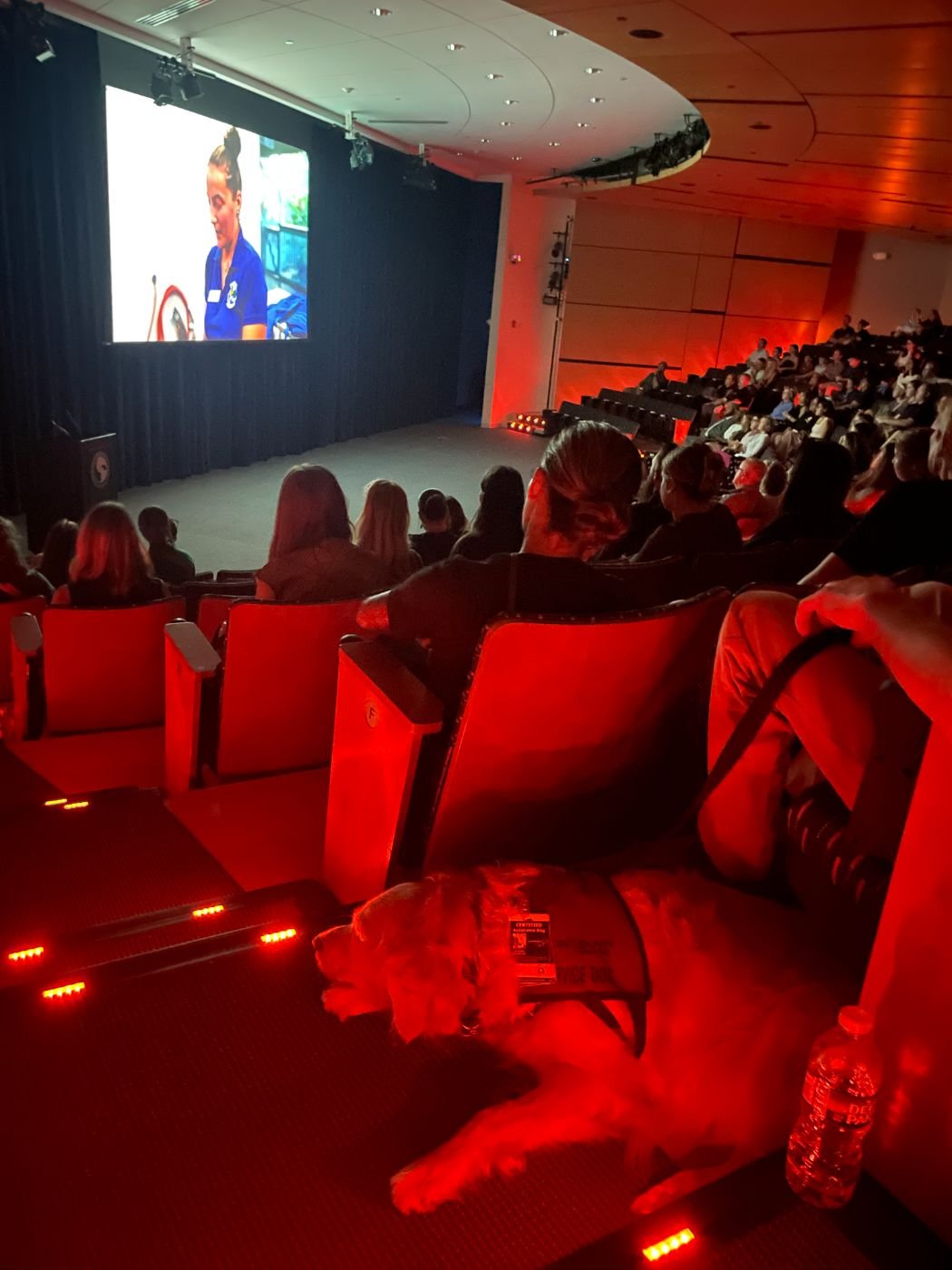 Wilmington screening photo