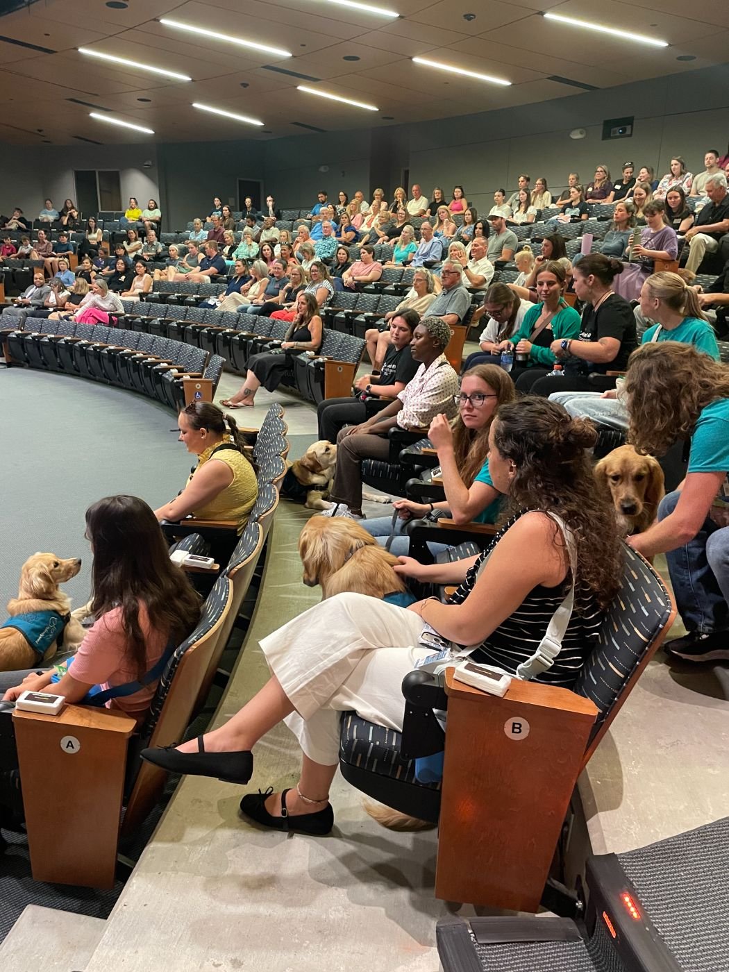 Wilmington screening photo