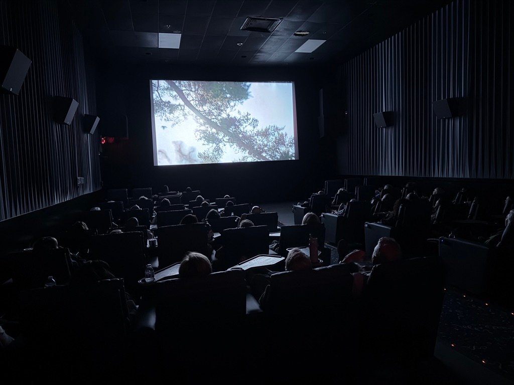 Fort Lauderdale screening photo