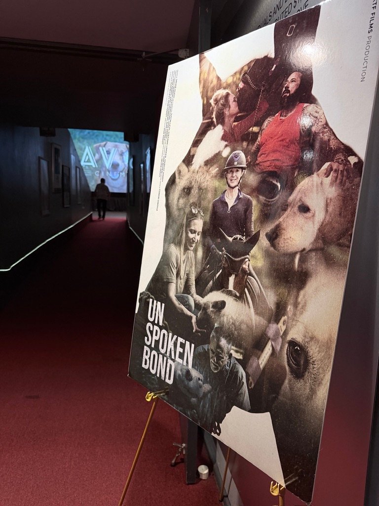 Fort Lauderdale screening photo